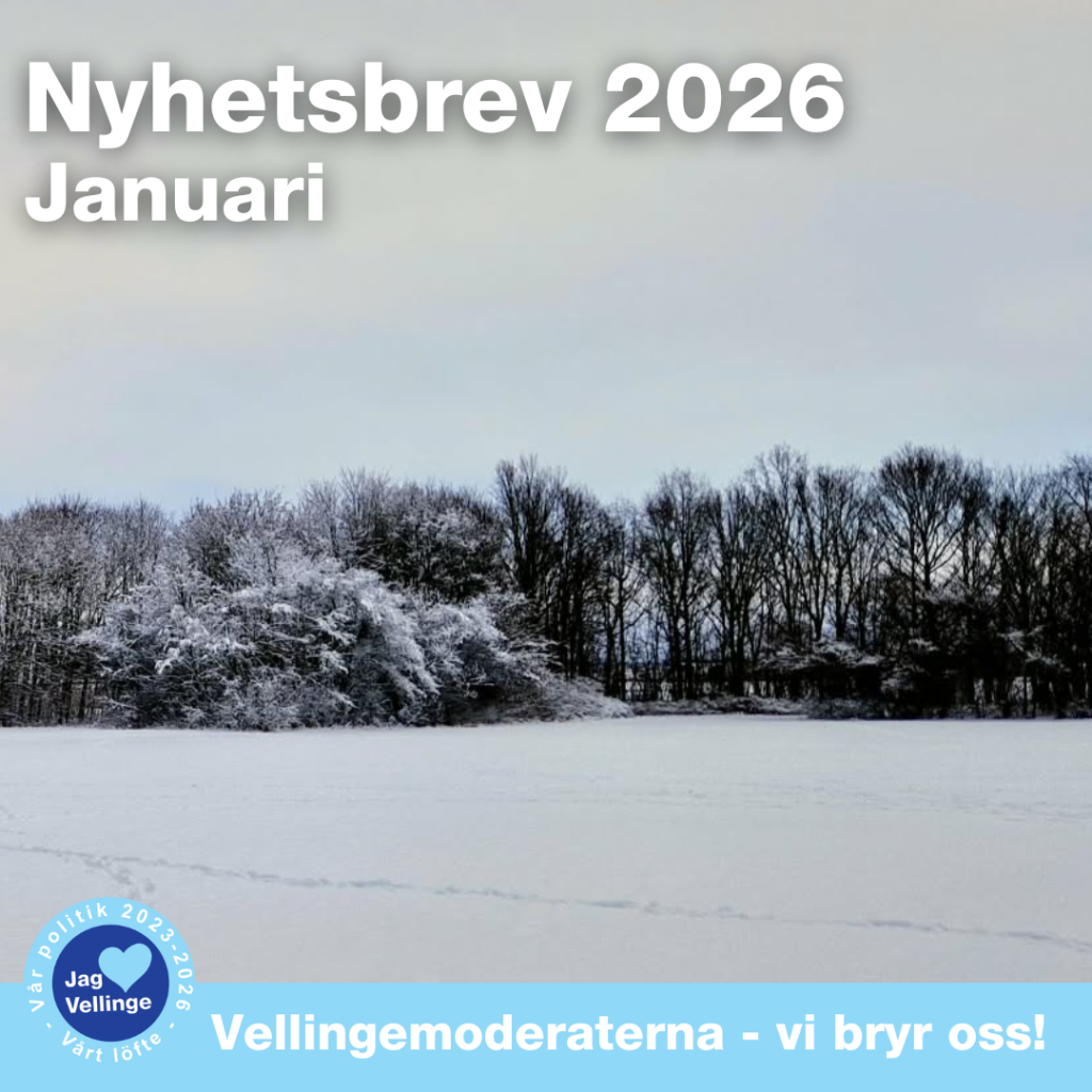 Nyhetsbrev - Januari 2026