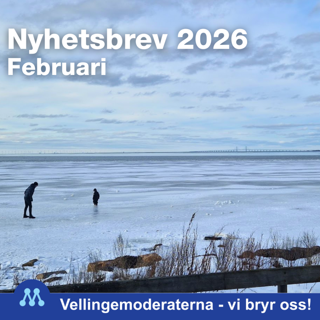Nyhetsbrev - februari 2026